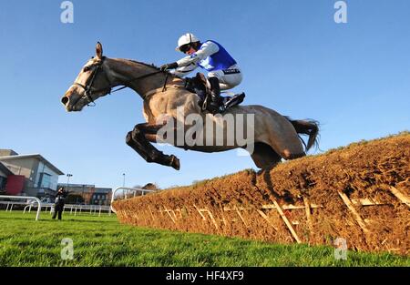 Schifezza presto fuori e jockey Walsh Rubino vincere il cavallo & Jockey Hotel Maiden Hurdle durante il primo giorno del Festival di Natale a Leopardstown Racecourse. Foto Stock