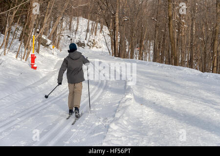 Montreal, Canada - 15 dicembre 2016: vista posteriore dell'uomo sciare sul Monte Regio. Foto Stock