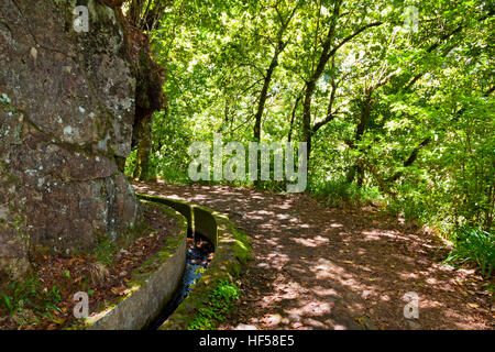 Escursioni lungo i canali di irrigazione (storico sistema di approvvigionamento di acqua, noto come Levada) nella foresta magica, Isola di Madeira, Portogallo Foto Stock