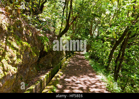 Escursioni lungo i canali di irrigazione (storico sistema di approvvigionamento di acqua, noto come Levada) nella foresta magica, Isola di Madeira, Portogallo Foto Stock