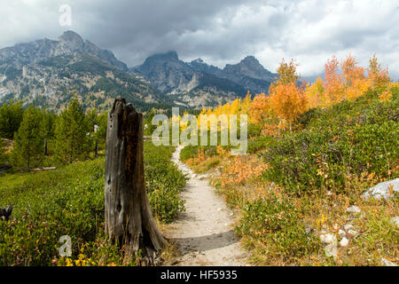 Sentiero escursionistico al Lago Taggart e canyon di valanghe, Teton Mountains, Grand Teton National Park, Wyoming USA Foto Stock