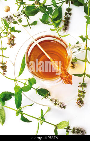 Bicchiere di tè alla menta con la caramella stick circondato da fiori di menta piperita Foto Stock