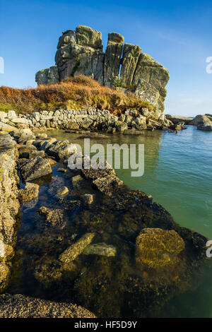 Il cammello caricato ad alta marea in Porth Hellick, St Mary, isole Scilly, Marzo 2015 Foto Stock