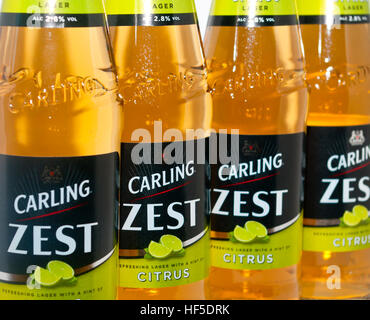 Bottiglie di Carling Zest Citrus Lager (punto di messa a fuoco sulla seconda bottiglia) Foto Stock