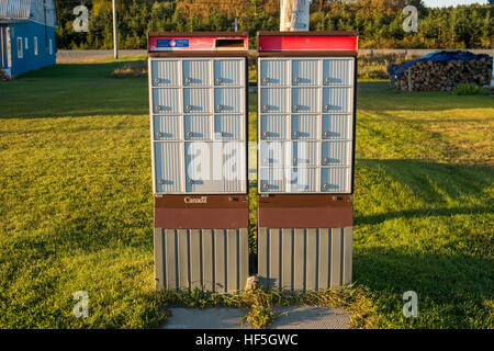 Canada Post gruppo rurale cassette postali in Gaspe Peninsula, Sainte-Anne des Monts Foto Stock