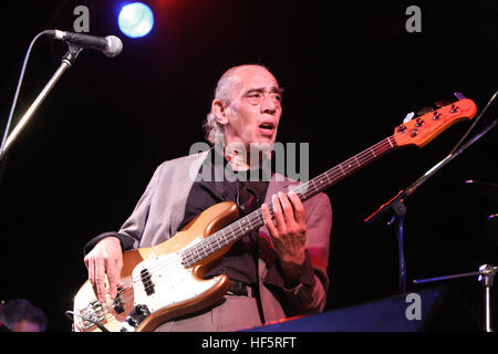 Norman watt-roy degli idioti a suonare il basso a Weyfest Vita Rurale Centro Tilford Surrey Foto Stock