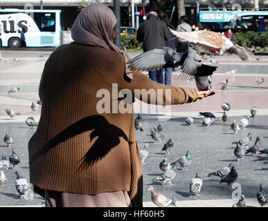 Una donna araba alimenta i piccioni in Piazza Catalonia in Barcellona. Foto Stock