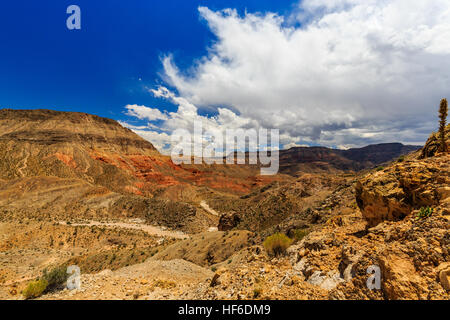 Paesaggio con alberi di Joshua a Joshua Tree Road nel deserto di Mojave vicino a Scenic Backway. Foto Stock