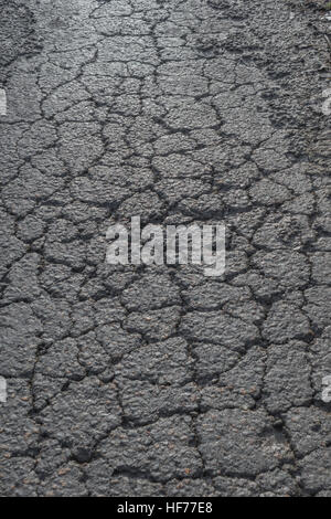 Danni da gelo stradale / superficie catramata con cracking a coccodrillo della strada rurale / di campagna in Cornovaglia, Regno Unito. Per il concetto di manutenzione delle autostrade, vecchia superficie asfaltata Foto Stock