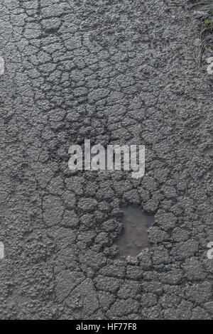 Danni da gelo stradale / superficie catramata incrinata da coccodrillo che porta a buche sulla strada di campagna del Regno Unito. Per il concetto di manutenzione delle autostrade, superficie asfaltata Foto Stock