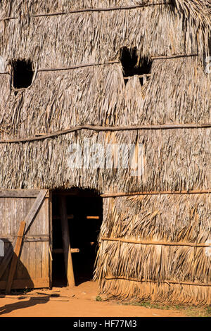 Essiccazione del tabacco sparso in Vinales, Cuba Foto Stock