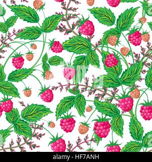Lamponi colorati seamless pattern. Modello senza cuciture con mano colorato disegno grafico di lamponi. Illustrazione Vettoriale. Illustrazione Vettoriale