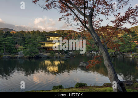 Kinkaku-ji (Padiglione Dorato) nel tardo giorno luce in autunno, Rokuon-ji templex complessa, Kyoto, Giappone Foto Stock