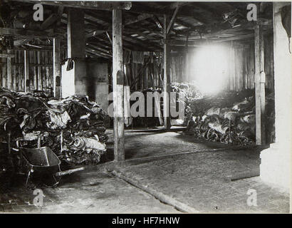 Questa illustrazione della prima guerra mondiale, raffigurante infrastrutture e fabbriche sul fronte russo, mostra il lato industriale della guerra. Riflette la portata e l'impatto della guerra industrializzata durante i primi anni del XX secolo. Foto Stock