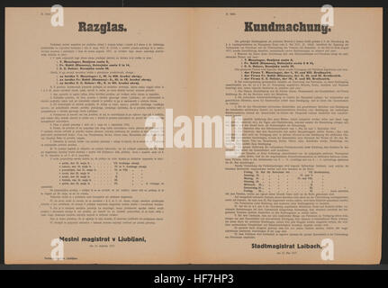 Questo poster multilingue del 1917, pubblicato dal Magistrato della città di Laibach (ora Lubiana), fornisce linee guida sulla vendita e la regolamentazione del petrolio durante la prima guerra mondiale. Sottolinea la conservazione e il corretto utilizzo delle risorse petrolifere. Foto Stock