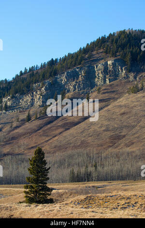 Rocky Mountain foothills in caduta, roccia sedimentaria ridge, conifere e latifoglie Foto Stock