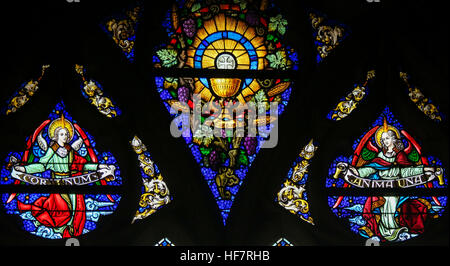 Vetrata raffigurante l Eucaristia e il Santo Graal nella cattedrale di Saint Bavo a Gand, Fiandre, in Belgio. Foto Stock