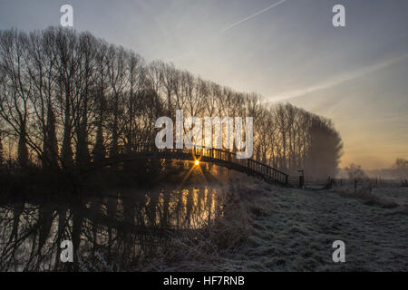 Passerella in legno oltre il Fiume Tamigi su un inverni mattina vicino a Buscot, Oxfordshire Foto Stock