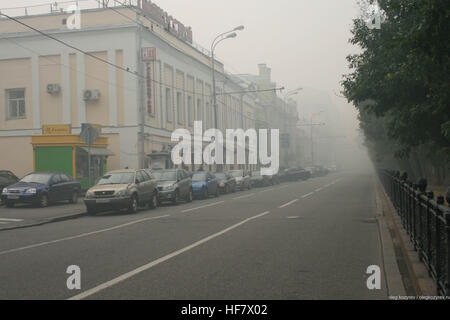 Mosca nel fumo da incendi boschivi Foto Stock