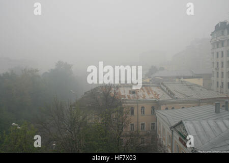 Mosca nel fumo da incendi boschivi Foto Stock