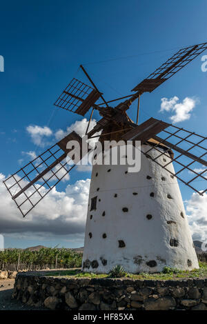 Il mulino a vento, El Cotillo, Fuerteventura, Isole Canarie Foto Stock