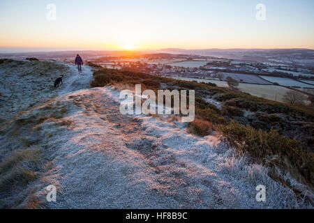 Flintshire, Wales, Regno Unito 28 dicembre 2016. Un freddo gelido mattina su molte parti della Gran Bretagna inclusi Flintshire nel Galles del Nord come un risultato di cielo chiaro e ad alta pressione. Le temperature di diminuzione dei prossimi giorni con gelo ulteriormente e chiari notti con temperature immersione ulteriore. Temperature questa mattina al di sotto di -3C come un dog walker braves temperature di congelamento sulla montagna Halkyn, Flintshre © DGDImages/Alamy Live News Foto Stock