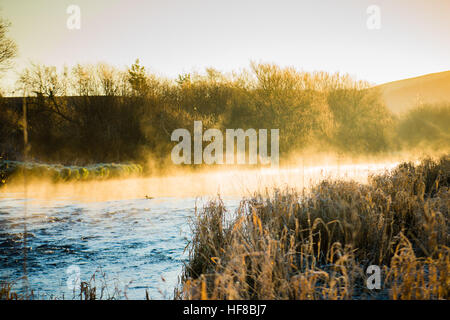 Aberystwyth Wales UK, mercoledì 28 dicembre 2016 UK Meteo: e gelido freddo mattino in Aberystwyth, dopo una chiara notte con temperature immergersi ben al di sotto dello zero. Il sole illumina il whisps di nebbia in aumento dopo il fiume Rheidol alla prima luce Credito: keith morris/Alamy Live News Foto Stock