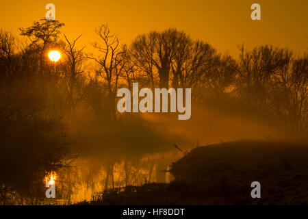 Norwich, Norfolk, Regno Unito. 28 dicembre, 2016. Famiglie e dog walkers godetevi una passeggiata attraverso Marston paludi a Riserve Naturali sul bordo di Norwich, Norfolk. Come il sole che tramonta mist deviati dal fiume y vengono oltre i prati dell'acqua. © SPK/Alamy Live News Foto Stock