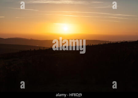 Belfast, Regno Unito. 28 dicembre, 2016. Montagna Divis a piedi, Belfast. Il 28 dicembre 2016. Tramonto sulla montagna nera nella distanza © Bonzo Alamy/Live News Foto Stock