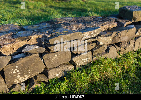 Belfast, Regno Unito. 28 dicembre, 2016. Montagna Divis a piedi, Belfast. Il 28 dicembre 2016. Un basso secco muro di pietra © Bonzo Alamy/Live News Foto Stock