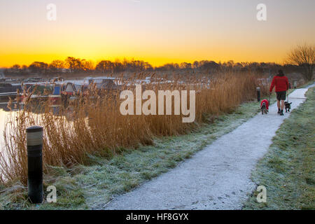 Fredda mattina a Rufford, Lancashire, Regno Unito. Regno Unito Meteo. Il 29 dicembre, 2016. Freddo e la nebbia start ma luminosa e soleggiata. Una meravigliosa parte rurale del Lancashire sul ramo di Rufford di Leeds e Liverpool Canal. Foto Stock