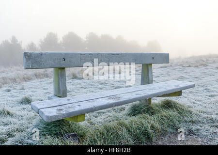 Hucknall, Nottinghamshire, Regno Unito. 29 Dic, 2016. Il congelamento e la nebbia e il gelo di questa mattina nel Nottinghamshire. © Ian Francesco/Alamy Live News Foto Stock