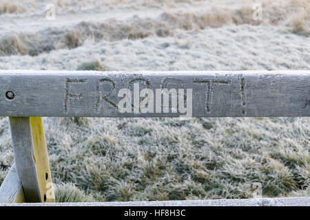 Hucknall, Nottinghamshire, Regno Unito. 29 Dic, 2016. Il congelamento e la nebbia e il gelo di questa mattina nel Nottinghamshire. © Ian Francesco/Alamy Live News Foto Stock