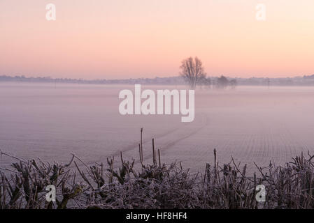 Willingham, Cambridgeshire, Regno Unito. 29 Dic, 2016. Il sole sorge su un congelati paesaggio Fenland sopra il vecchio West River. La temperatura è scesa a circa meno 4 gradi centigradi per tutta la notte con una diffusa il gelo e banchi di nebbia all'alba. © Julian Eales/Alamy Live News Foto Stock