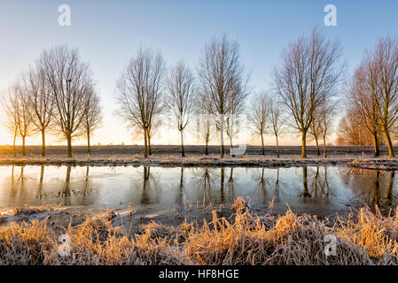 Willingham, Cambridgeshire, Regno Unito. 29 Dic, 2016. Il sole sorge su un Fenland congelato il paesaggio al di sopra del vecchio fiume ad ovest da una linea di willow alberi cresciuti per rendere mazze da cricket. La temperatura è scesa a circa meno 4 gradi centigradi per tutta la notte con una diffusa il gelo e banchi di nebbia all'alba. © Julian Eales/Alamy Live News Foto Stock