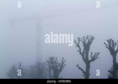 Il torneo di Wimbledon di Londra, Regno Unito. 30 Dic, 2016. Una gru da cantiere sorge attraverso la fitta nebbia di congelamento a Wimbledon © amer ghazzal/Alamy Live News Foto Stock