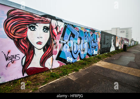 Gli artisti locali Giovanni Bulley e Mark Sharp completato un aggiunta per la street art wall attualmente confinanti con un lungo ritardo-progetto di costruzione lungo Southend sul lungomare per ricordare l'attrice Carrie Fisher scomparso il 27 dicembre. Foto Stock