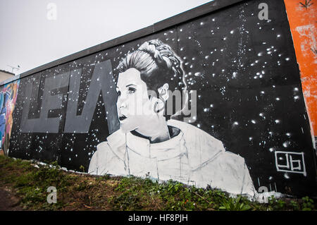 Gli artisti locali Giovanni Bulley e Mark Sharp completato un aggiunta per la street art wall attualmente confinanti con un lungo ritardo-progetto di costruzione lungo Southend sul lungomare per ricordare l'attrice Carrie Fisher scomparso il 27 dicembre. Foto Stock