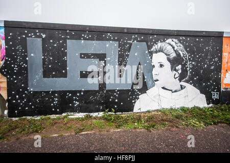 Gli artisti locali Giovanni Bulley e Mark Sharp completato un aggiunta per la street art wall attualmente confinanti con un lungo ritardo-progetto di costruzione lungo Southend sul lungomare per ricordare l'attrice Carrie Fisher scomparso il 27 dicembre. Foto Stock