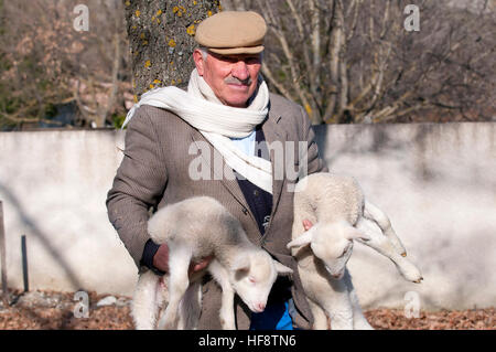 Pastore che conduce le sue pecore vicino l'Appennino Lucano Parco Nazionale in Basilicata Italia Foto Stock