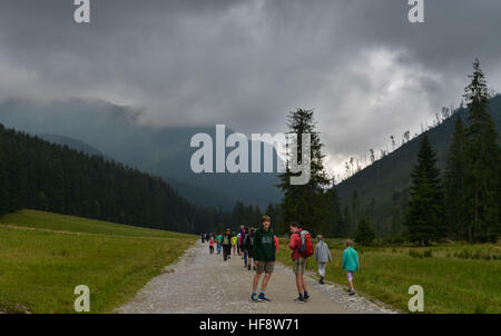 Vagabondo, Bergalm, Dolina Koscieliska, Hohe Tatra, Polen, viaggiatore, montagna alp, Alti Tatra, pali Foto Stock