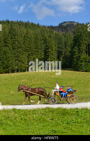Pferdekutsche, Dolina Koscieliska, Hohe Tatra, Polen, carrozza a cavallo, le Alti Tatra, pali Foto Stock