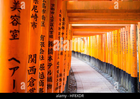 Kyoto, Giappone - 13 dicembre 2014: cancelli arancione chiamato torii a Fushimi Inari Santuario Foto Stock