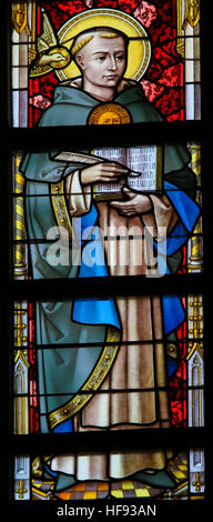 Vetro colorato nella cattedrale di Saint Bavo a Gand, Belgio, raffiguranti San Tommaso d Aquino, un italiano di frate domenicano, sacerdote cattolico e medico Foto Stock