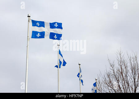 Bandiere del Quebec a Quebec City, QC, Canada Foto Stock