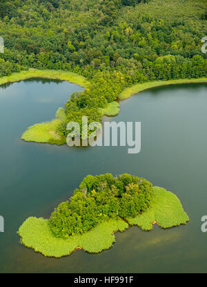 Vista aerea, isola nel Lago di Cracovia, il lago con penisole, Cracovia am See, Meclemburgo Lake District Foto Stock