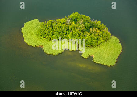 Vista aerea, isola nel Lago di Cracovia, Cracovia am See, Meclemburgo Lake District, Meclemburgo-Pomerania Occidentale, Germania Foto Stock