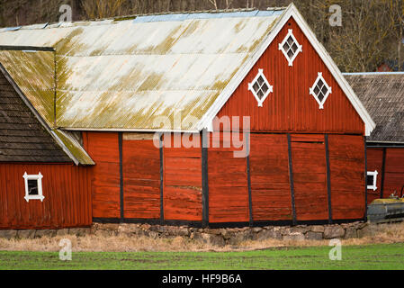 Ronneby, Svezia - 27 dicembre 2016: documentario di stile di vita rurale in Svezia. Red granaio in legno con frontone di wintergreen campo in primo piano. Foto Stock