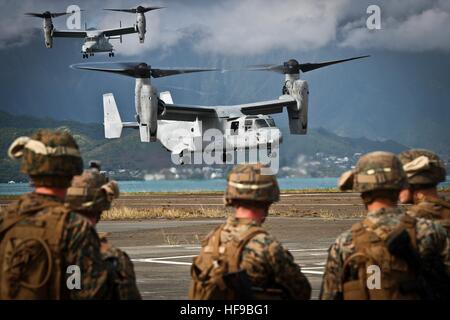 Stati Uniti Marine preparare i soldati a bordo Bell Boeing MV-22 Osprey aerei durante una simulazione di funzionamento del serpente gotico al Marine Corps base Hawaii zona di atterraggio Westfield Dicembre 10, 2016 nella Baia di Kaneohe, Hawaii. Foto Stock