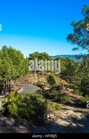 Tamadaba, parco naturale in Gran Canaria, Spagna Foto Stock